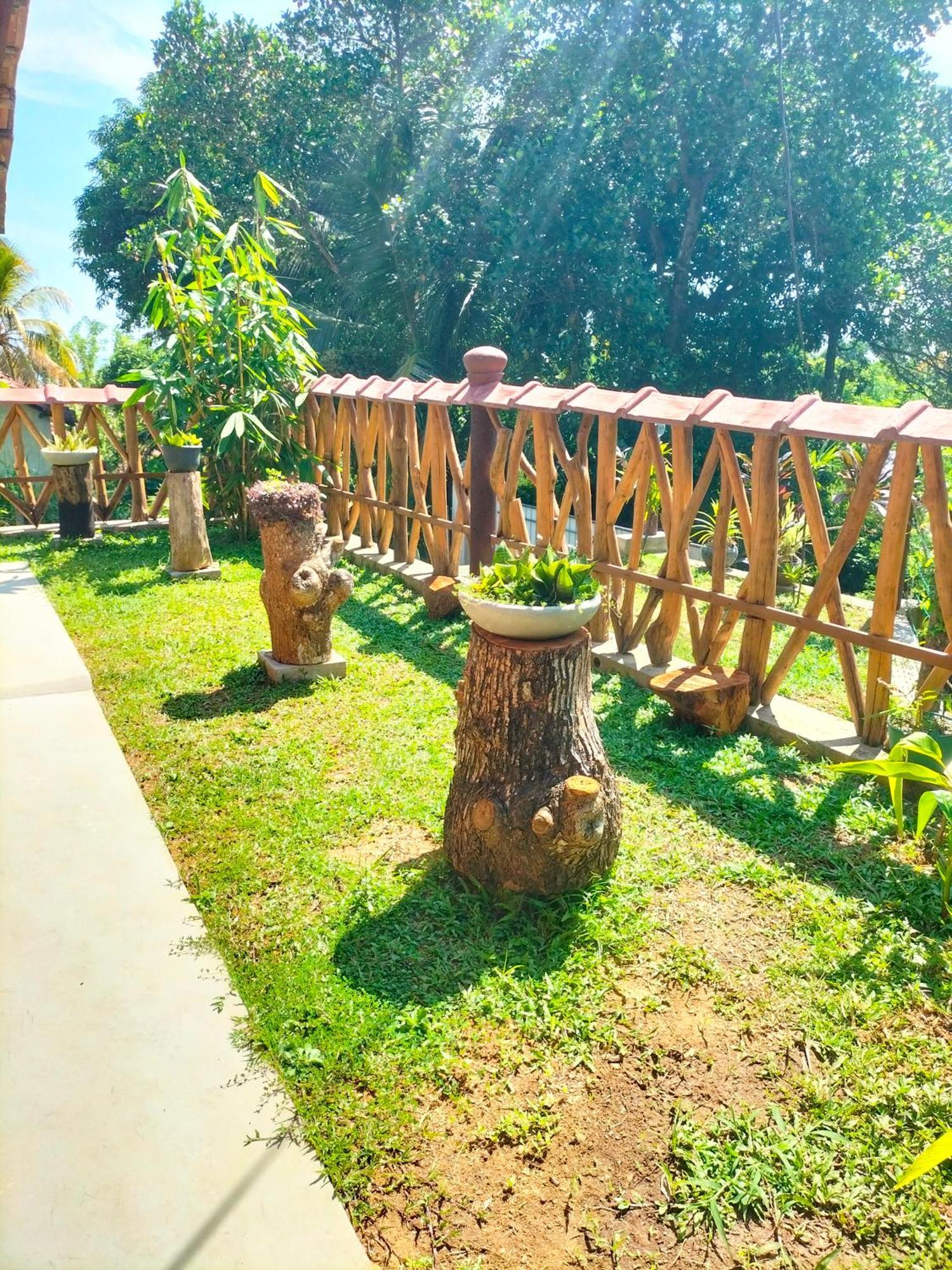 ディックウェラ Blue Ocean Tree House Hiriketiyaヴィラ エクステリア 写真